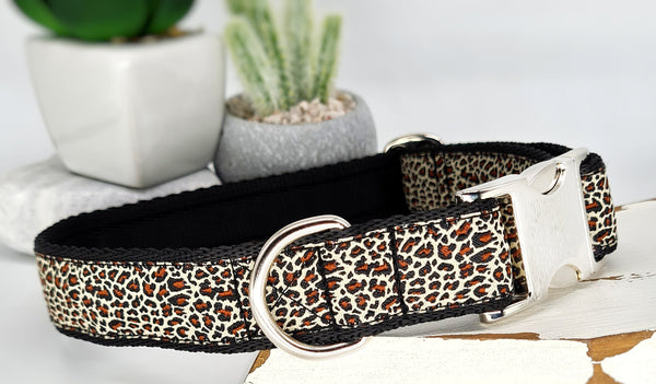 Luscious Leopard print Collars & Leads
