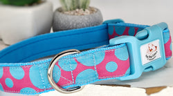 Sky Blue Spots Collars & Leads