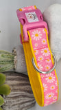 Pink Daisy woven ribbon Collars & Leads