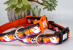 Spooky Time Glow in the dark Dog Collars