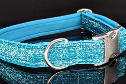 Sky Blue Sparkle Collar