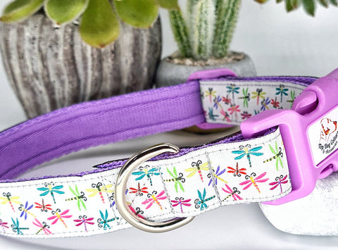 Dragonflies Collars & Leads