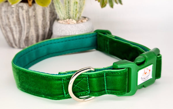 Green Velvet Dog Collars & Leads