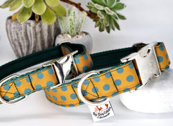 Mustard Madness Collars & Leads