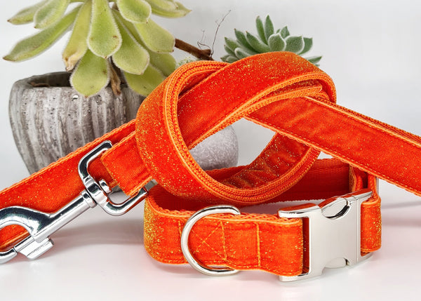Orange velvet sparkle Collars & Leads