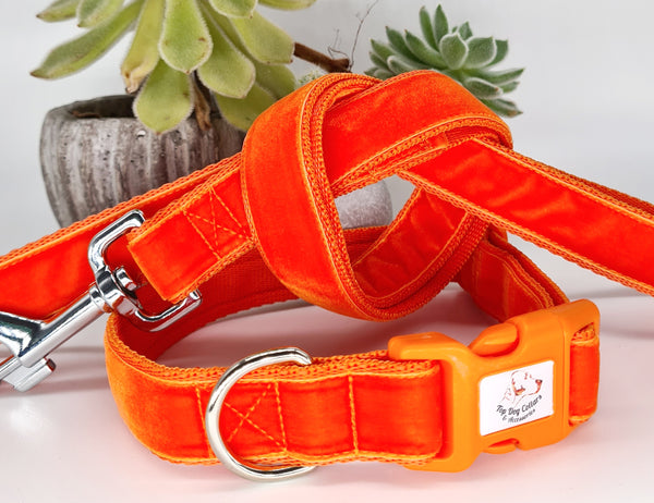 Orange velvet Collars & Leads