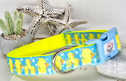 Quackers Collars & Leads