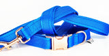 Turquoise Plain Webbing Collars & Leads