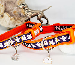 Boo Ghosts Collars & Leads