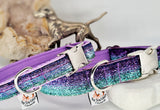 Purple Turquoise Sparkle Collars & Leads