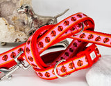 Ladybug woven ribbon Collars & Leads