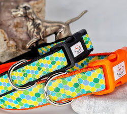 Citrus Hexagon Collars & Leads