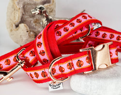 Ladybug woven ribbon Collars & Leads