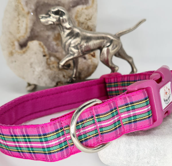 Pink Plaid Check Collars & Leads