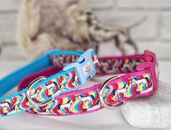 Unicorns Collars & Leads