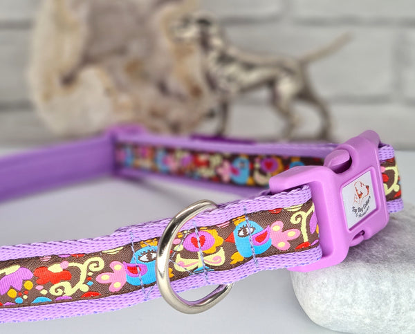 Abstract Birds & Flowers Dog Collars & Leads