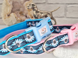 Geometric Flowers Dog Collars & Leads