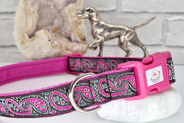 Pink Paisley Dog Collars & Leads