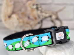 Jumping Sheep Collars & Leads