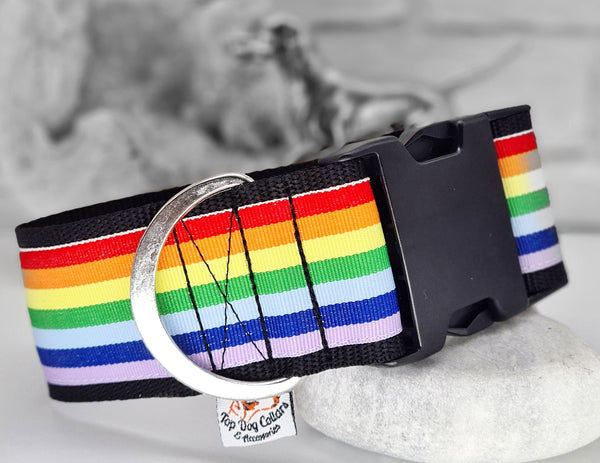 Rainbow Pride 2" Wide Collars