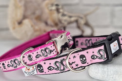 Black Adder Pink Collars & Leads