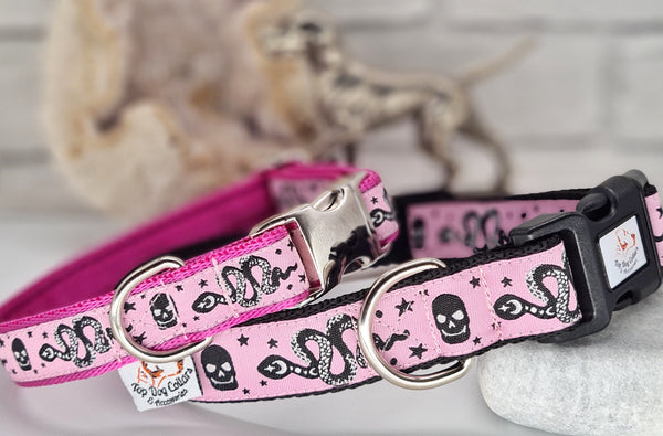 Pretty Female Dog Collars And Leashes Floral Dog Collar Dog