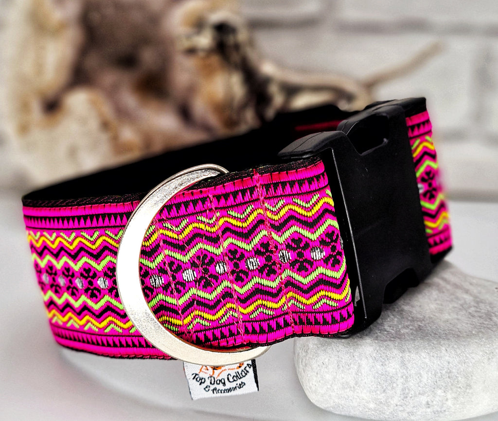 Azti 2" Wide Collars Top Dog Collars & Accessories