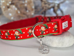 Christmas Elf Collars & Leads