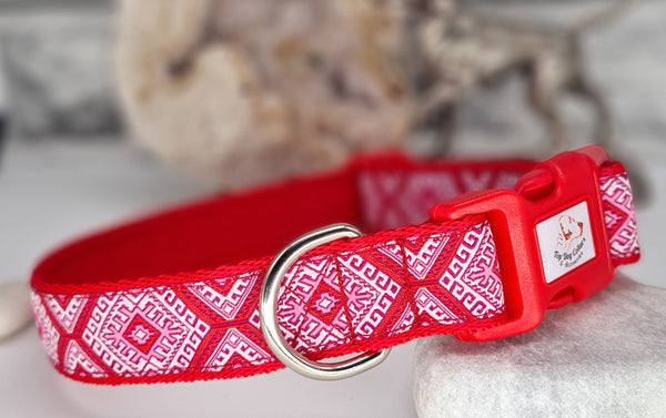 Red Aztec Collars & Leads