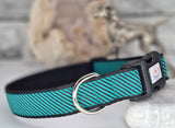 Teal & Black Striped Collars & Leads