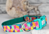 Pink Mosaic Collars & Leads