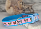 Butterflies on Soft Pink Collars & Leads