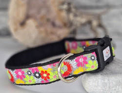 Martha Flowers Collars & leads