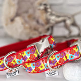 Blooms Collars & Leads