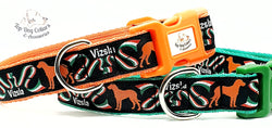 Vizsla Themed Collars & Leads