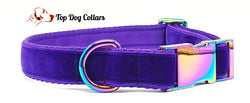 Purple Velvet Collars & Leads