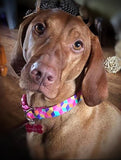 Pink Mosaic Collars & Leads